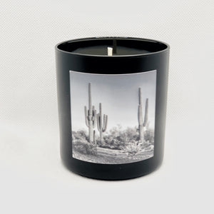 DESERT OASIS CANDLE